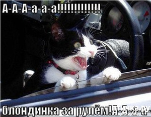 ����: ��������, �� ��� ��������?! ���������� ����� ( ���������� �� ���������).