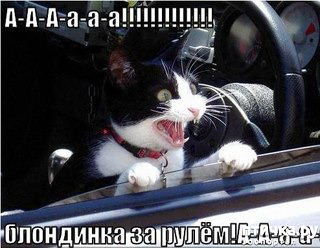 ���� 1: ��������, �� ��� ��������?! ���������� ����� ( ���������� �� ���������).