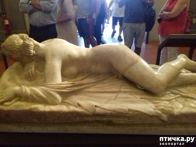 ���� 31: �������� �� ���������