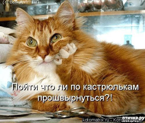 ���� 3: ��������, �� ��� ��������?! ���������� ����� ( ���������� �� ���������).