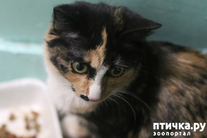 ����: ������. ����� � ������� ������