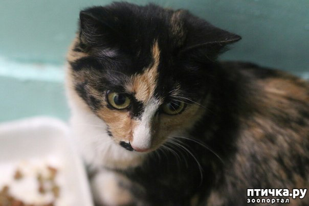 ���� 1: ������. ����� � ������� ������