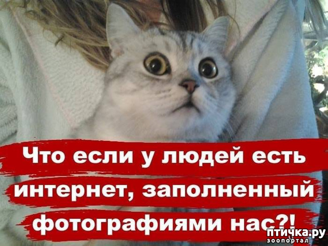 ���� 5: ��������, �� ��� ��������?! ���������� ����� ( ���������� �� ���������).