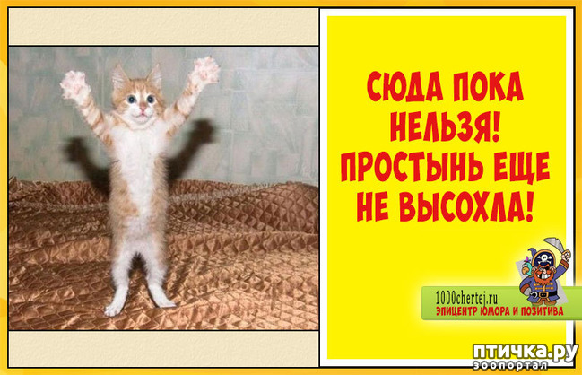 ���� 6: ��������, �� ��� ��������?! ���������� ����� ( ���������� �� ���������).