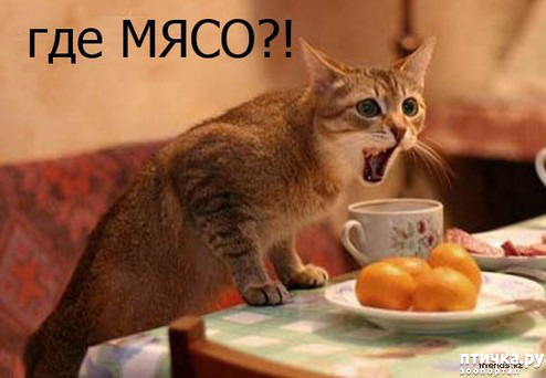 ���� 7: ��������, �� ��� ��������?! ���������� ����� ( ���������� �� ���������).