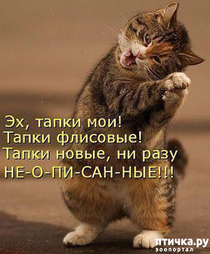 ���� 8: ��������, �� ��� ��������?! ���������� ����� ( ���������� �� ���������).