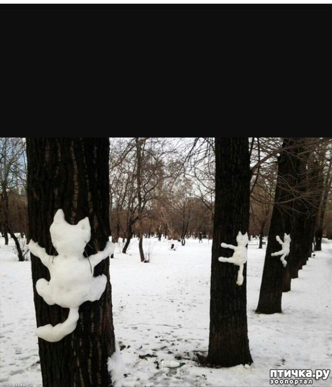 ���� 6: ����� ����� ��� - 2!!!