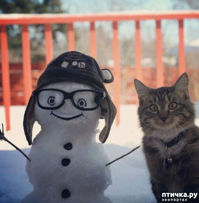 ���� 7: ����� ����� ��� - 2!!!