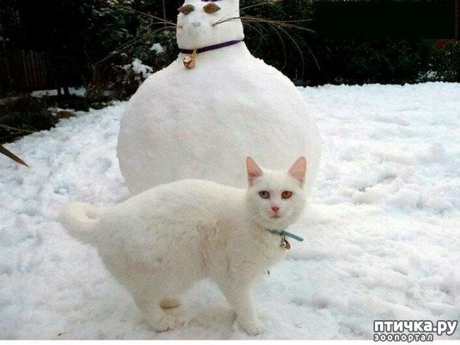 ���� 9: ����� ����� ��� - 2!!!