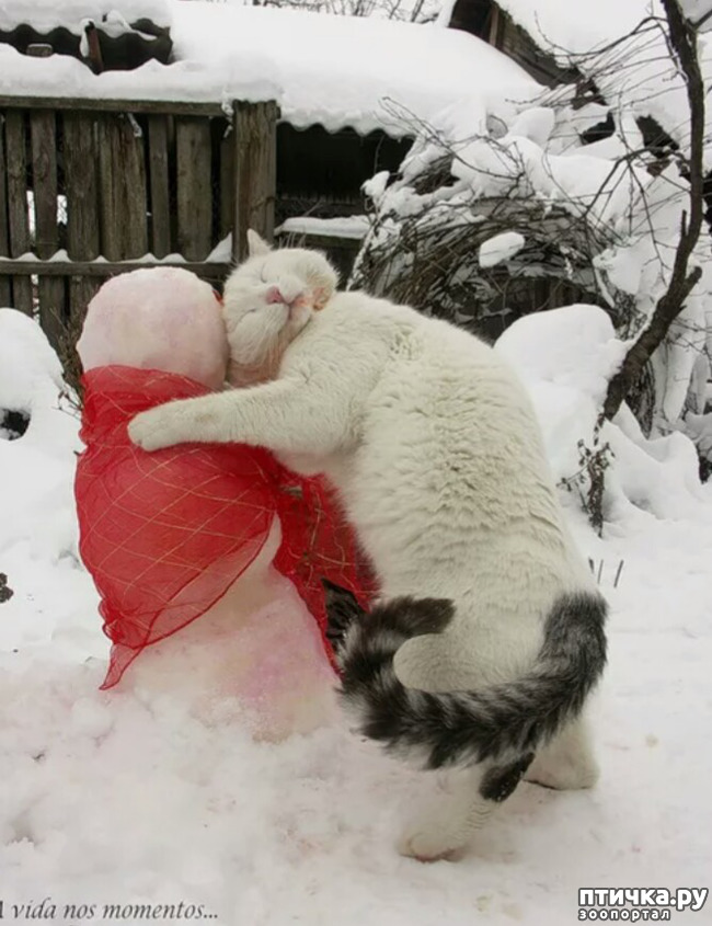 ���� 11: ����� ����� ��� - 2!!!