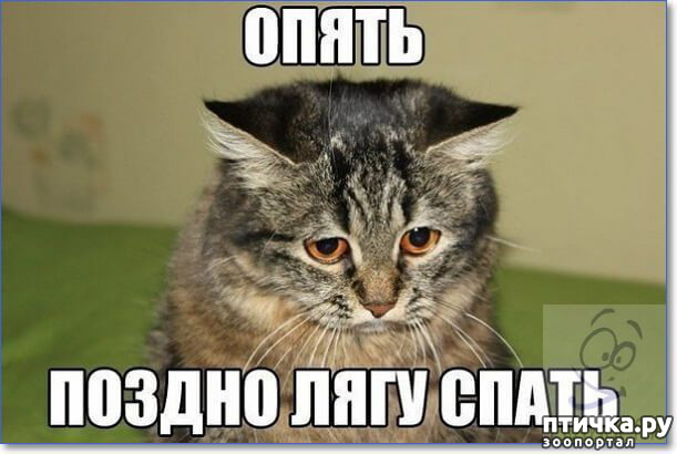 ���� 9: ��������, �� ��� ��������?! ���������� ����� ( ���������� �� ���������).