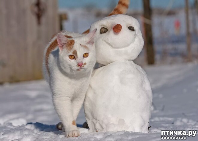 ���� 12: ����� ����� ��� - 2!!!