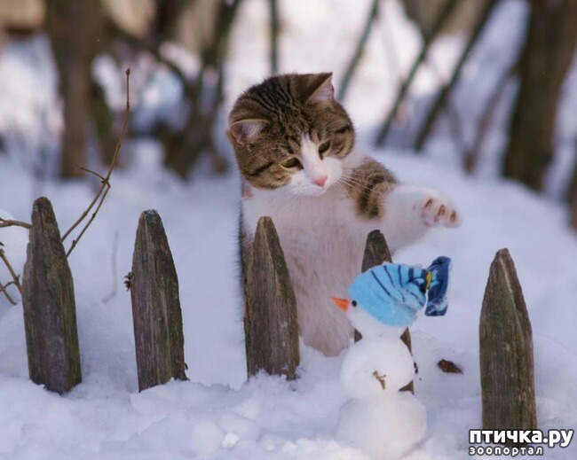 ���� 13: ����� ����� ��� - 2!!!