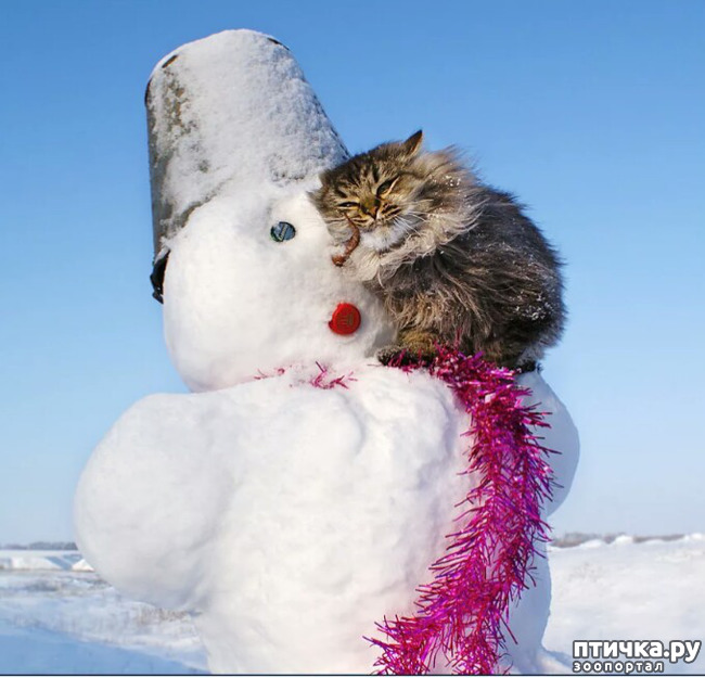 ���� 14: ����� ����� ��� - 2!!!