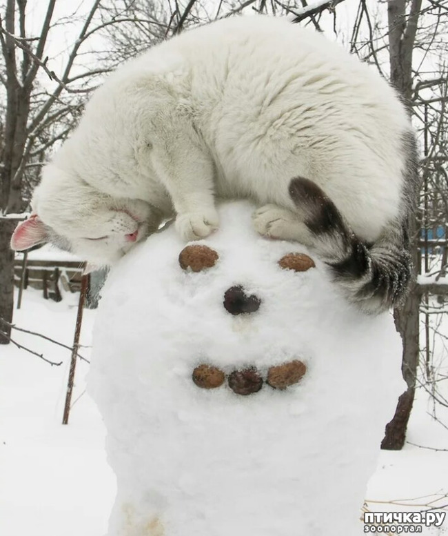 ���� 15: ����� ����� ��� - 2!!!