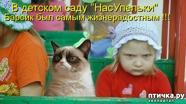 ���� 10: ��������, �� ��� ��������?! ���������� ����� ( ���������� �� ���������).