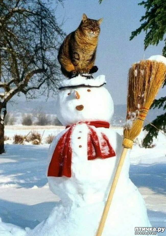 ���� 17: ����� ����� ��� - 2!!!