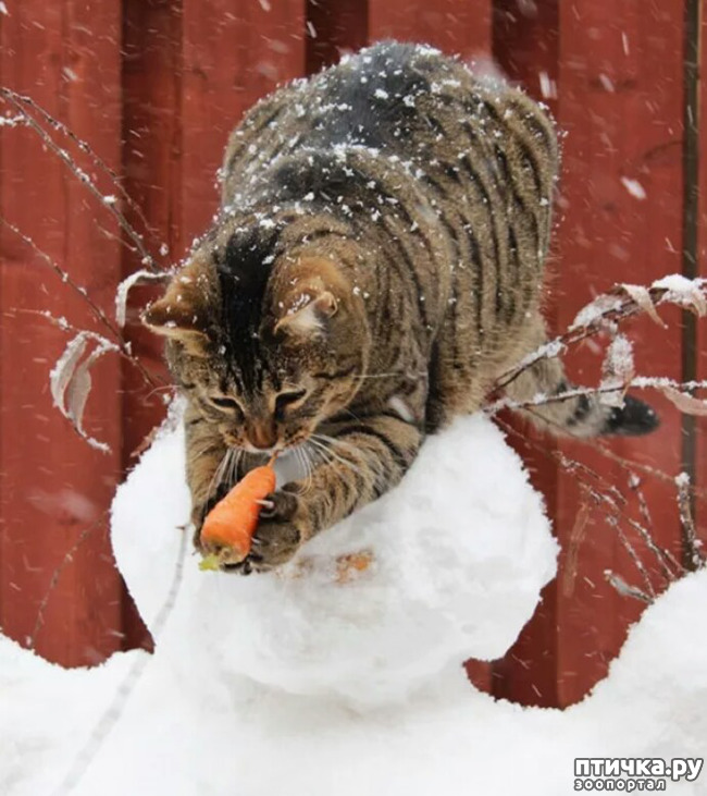 ���� 16: ����� ����� ��� - 2!!!