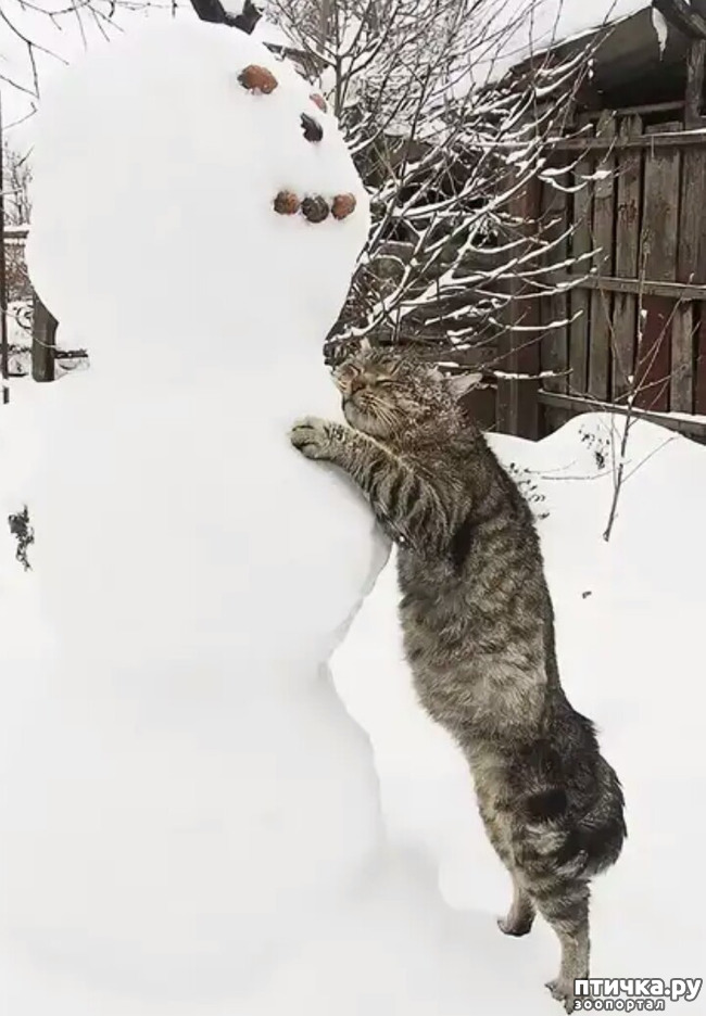 ���� 8: ����� ����� ��� - 2!!!