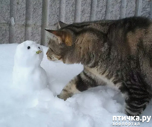 ����: ����� ����� ��� - 2!!!