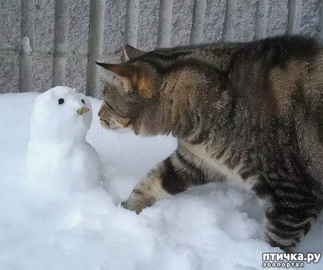 ���� 1: ����� ����� ��� - 2!!!