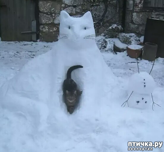 ���� 2: ����� ����� ��� - 2!!!