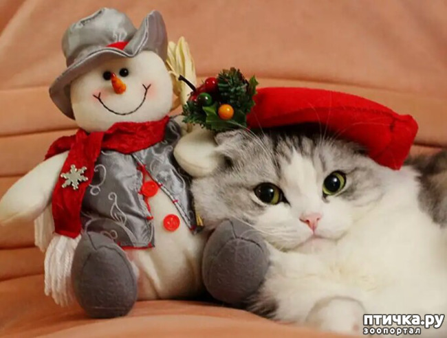 ���� 3: ����� ����� ��� - 2!!!