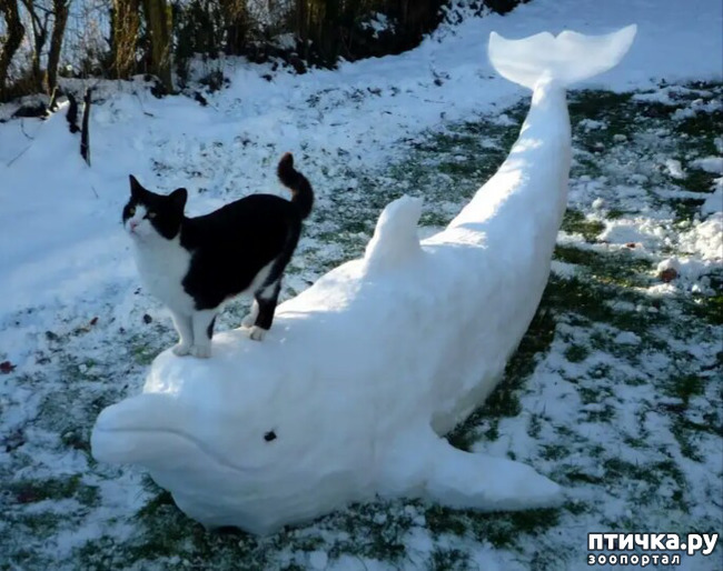 ���� 4: ����� ����� ��� - 2!!!