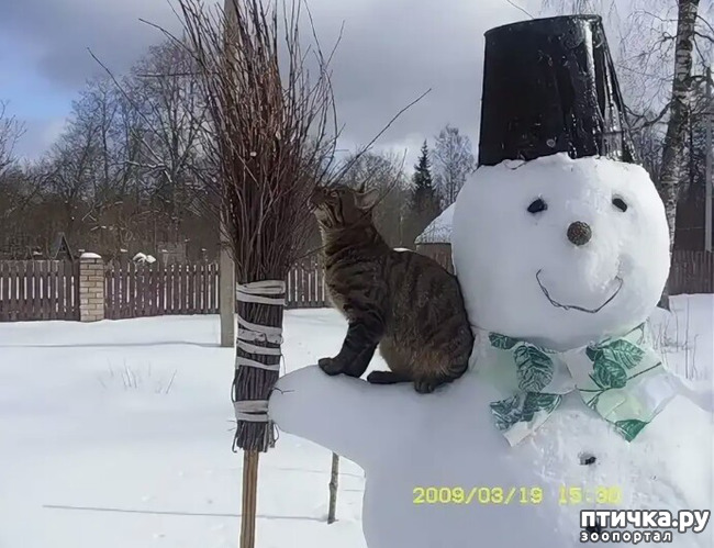 ���� 5: ����� ����� ��� - 2!!!