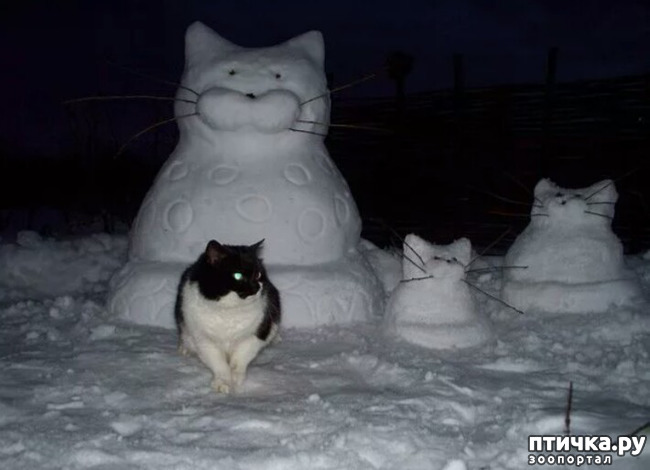 ���� 10: ����� ����� ��� - 2!!!