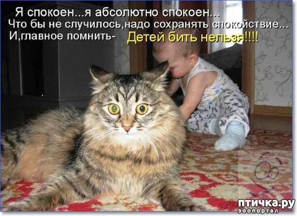 ���� 14: ��������, �� ��� ��������?! ���������� ����� ( ���������� �� ���������).