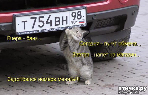 ���� 16: ��������, �� ��� ��������?! ���������� ����� ( ���������� �� ���������).