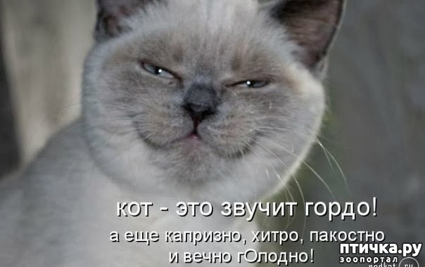 ���� 17: ��������, �� ��� ��������?! ���������� ����� ( ���������� �� ���������).