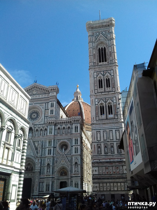 ���� 3: �������� �� ���������