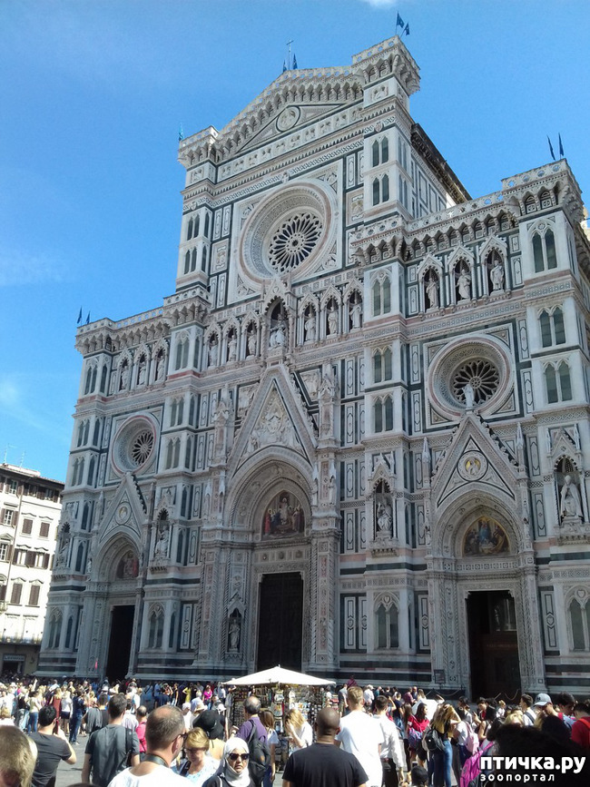 ���� 4: �������� �� ���������