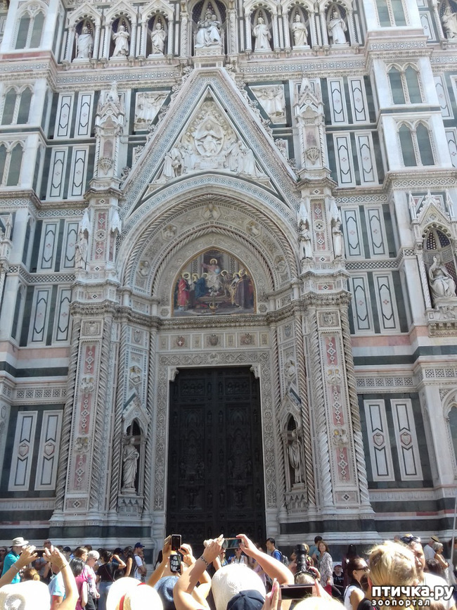 ���� 5: �������� �� ���������