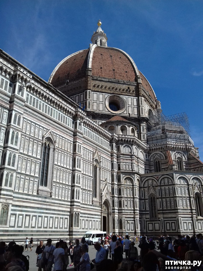 ���� 6: �������� �� ���������