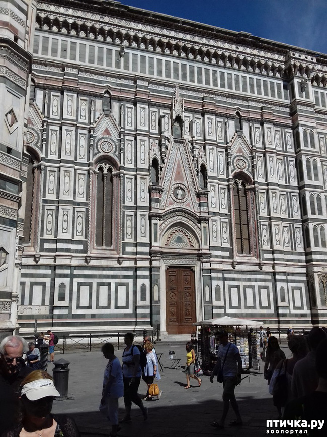 ���� 7: �������� �� ���������