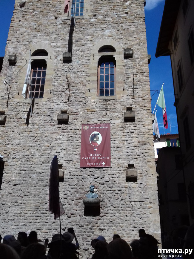 ���� 8: �������� �� ���������