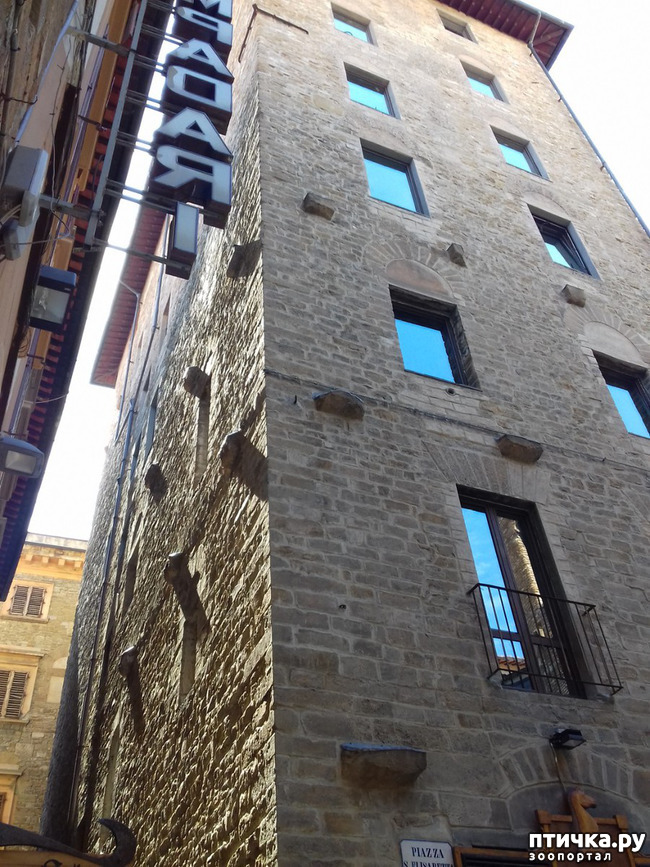 ���� 9: �������� �� ���������