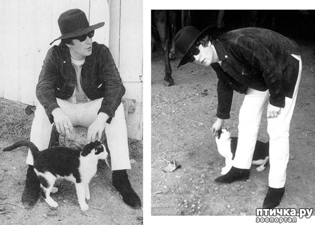 ���� 2: ������������ � �����