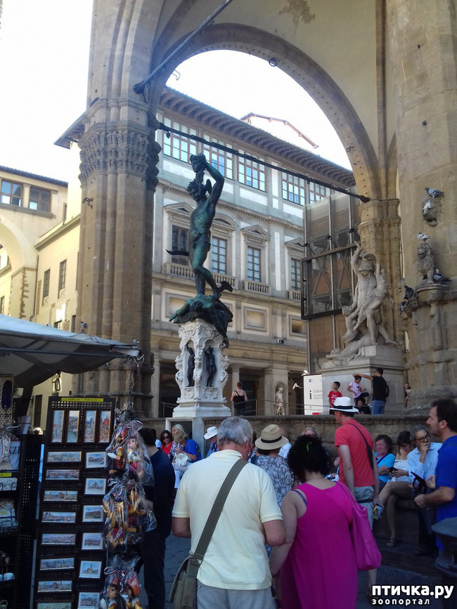 ���� 11: �������� �� ���������