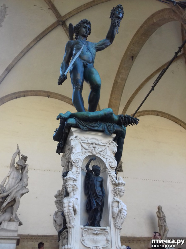 ���� 12: �������� �� ���������