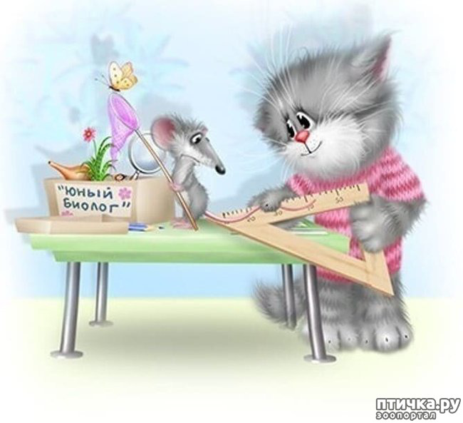 ���� 2: �������� ������� �������. ��� �������� ����� ���