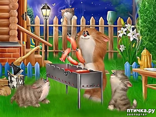 ���� 5: �������� ������� �������. ��� �������� ����� ���