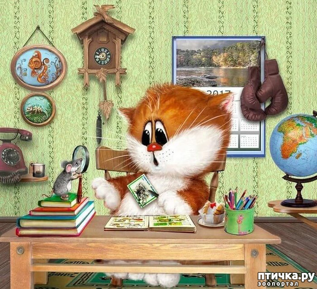 ���� 8: �������� ������� �������. ��� �������� ����� ���