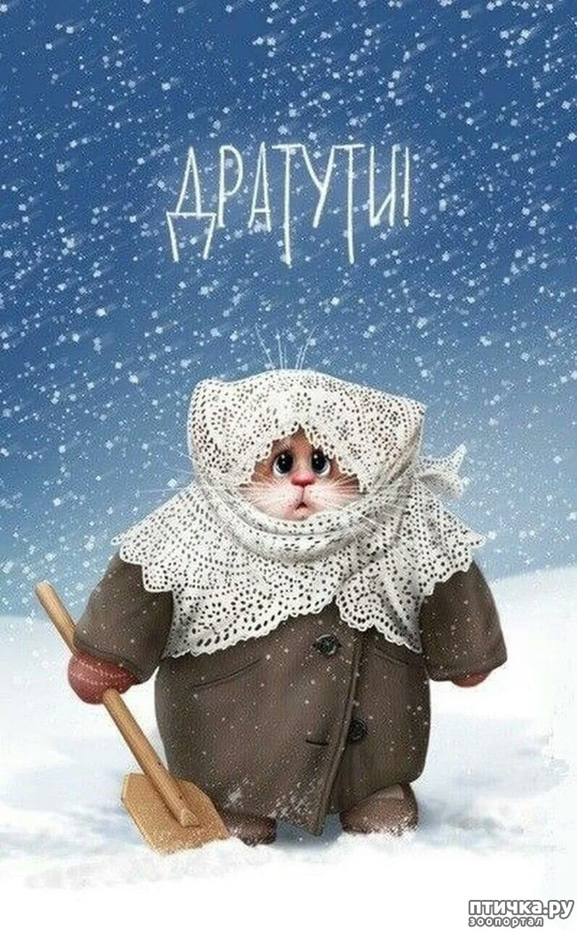 ���� 7: �������� ������� �������. ��� �������� ����� ���