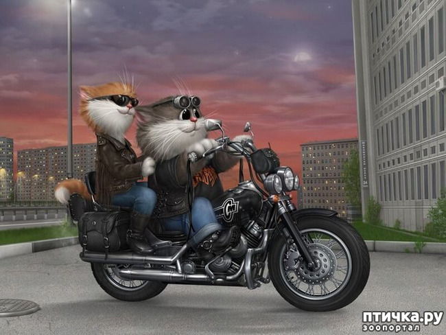 ���� 11: �������� ������� �������. ��� �������� ����� ���