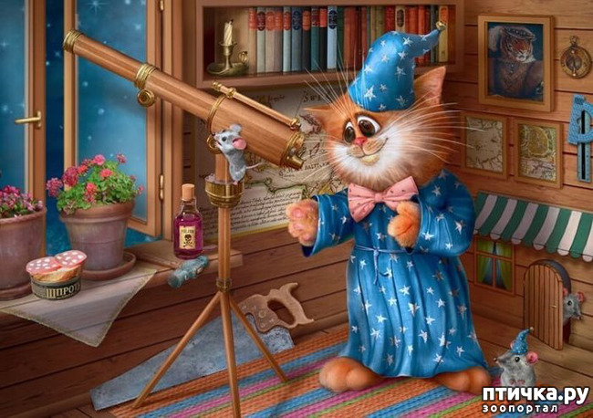 ���� 14: �������� ������� �������. ��� �������� ����� ���