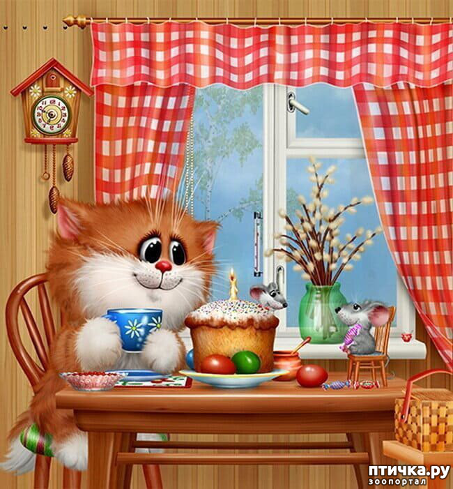 ���� 15: �������� ������� �������. ��� �������� ����� ���